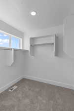 Spacious closet with light carpet