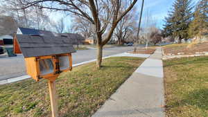 View of road with a residential view and little library for neighbors