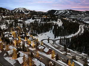 Snowy aerial view with a mountain view and view of scattered trees