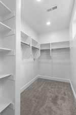 Walk in closet with light carpet