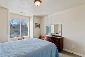 Carpeted bedroom with multiple windows and a textured ceiling