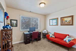 Office area with light colored carpet and baseboards
