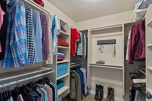Walk in closet with light colored carpet
