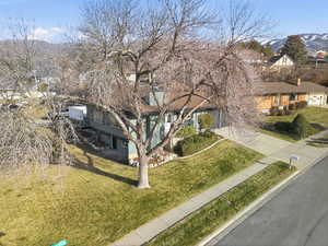 Obstructed view of property with a mountain view and a front yard