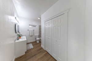 Bathroom featuring a closet, vanity, and dark wood-type flooring