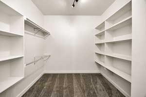 Spacious closet featuring dark carpet