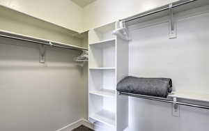 View of walk in closet