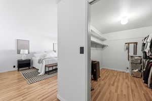 Walk in closet featuring light wood-type flooring