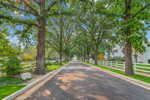 View of asphalt street featuring traffic signs and curbs