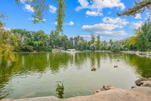 Water view featuring a tree filled landscape