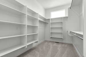 Spacious closet featuring light colored carpet