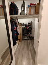Spacious closet featuring light wood finished floors