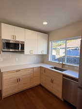 Kitchen with stainless steel appliances, dark wood-type flooring, light brown cabinetry, recessed lighting, and modern cabinets