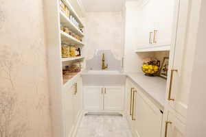 Butler's Pantry with sink and built in pebble ice maker.