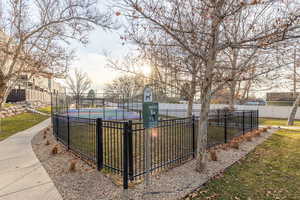 Dog park