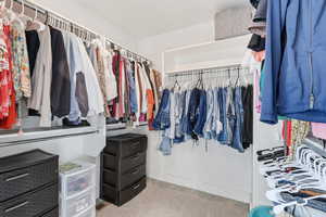 Walk in closet with light colored carpet
