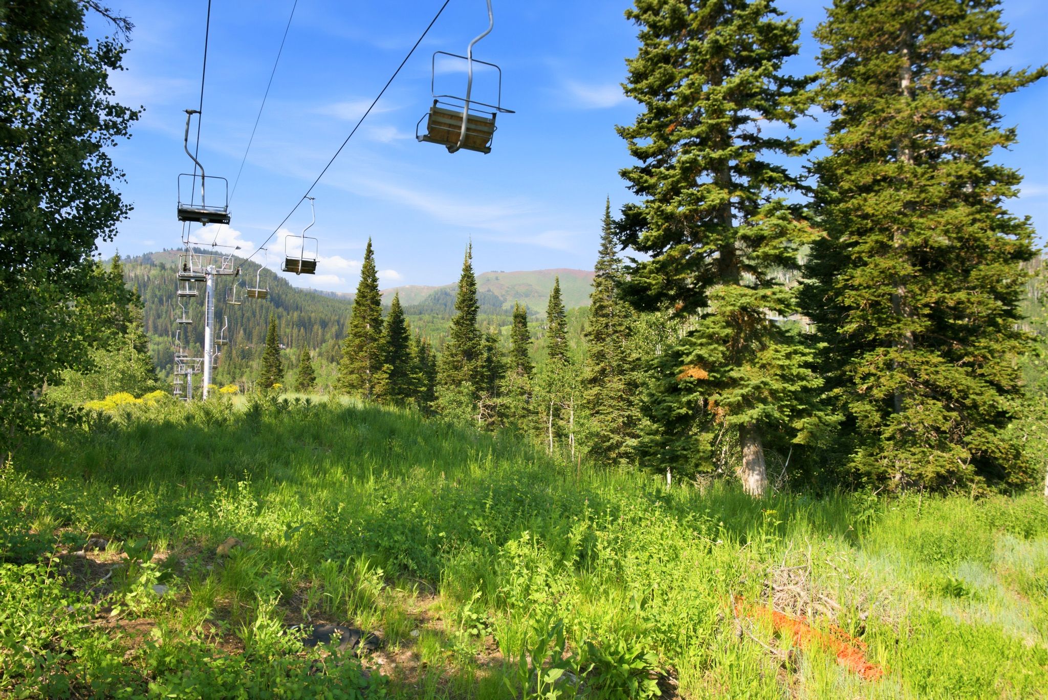 Mountain landscape featuring a ski lift structure, lush green vegetation, and mature evergreen trees