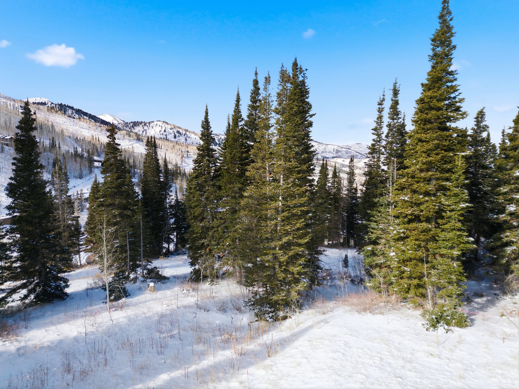 View of mountain background