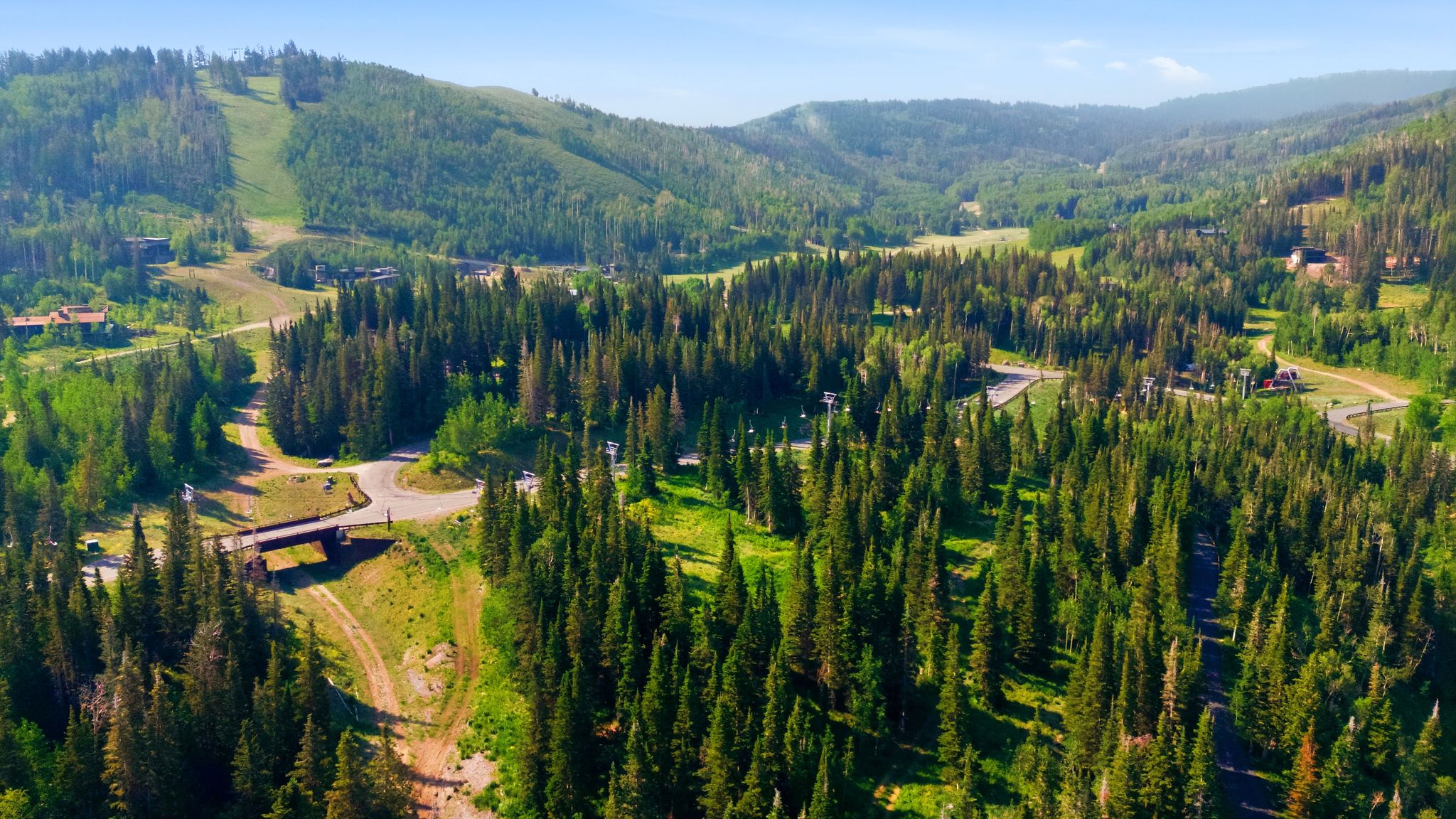 Expansive mountain landscape featuring dense evergreen forests and clear skies