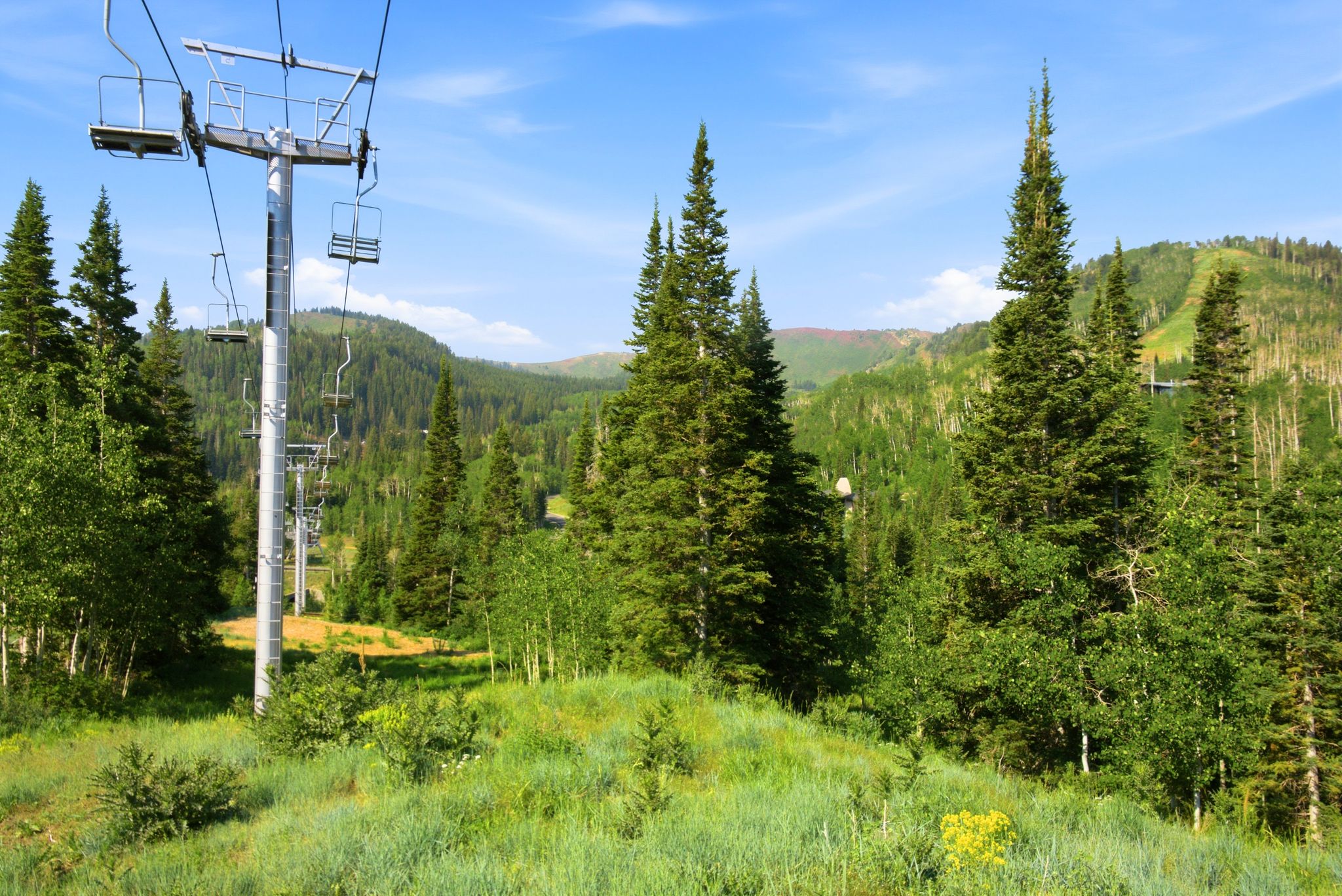 Ski lift infrastructure situated within a mountainous, heavily treed landscape featuring varied evergreen and deciduous trees, and a distant ski slope