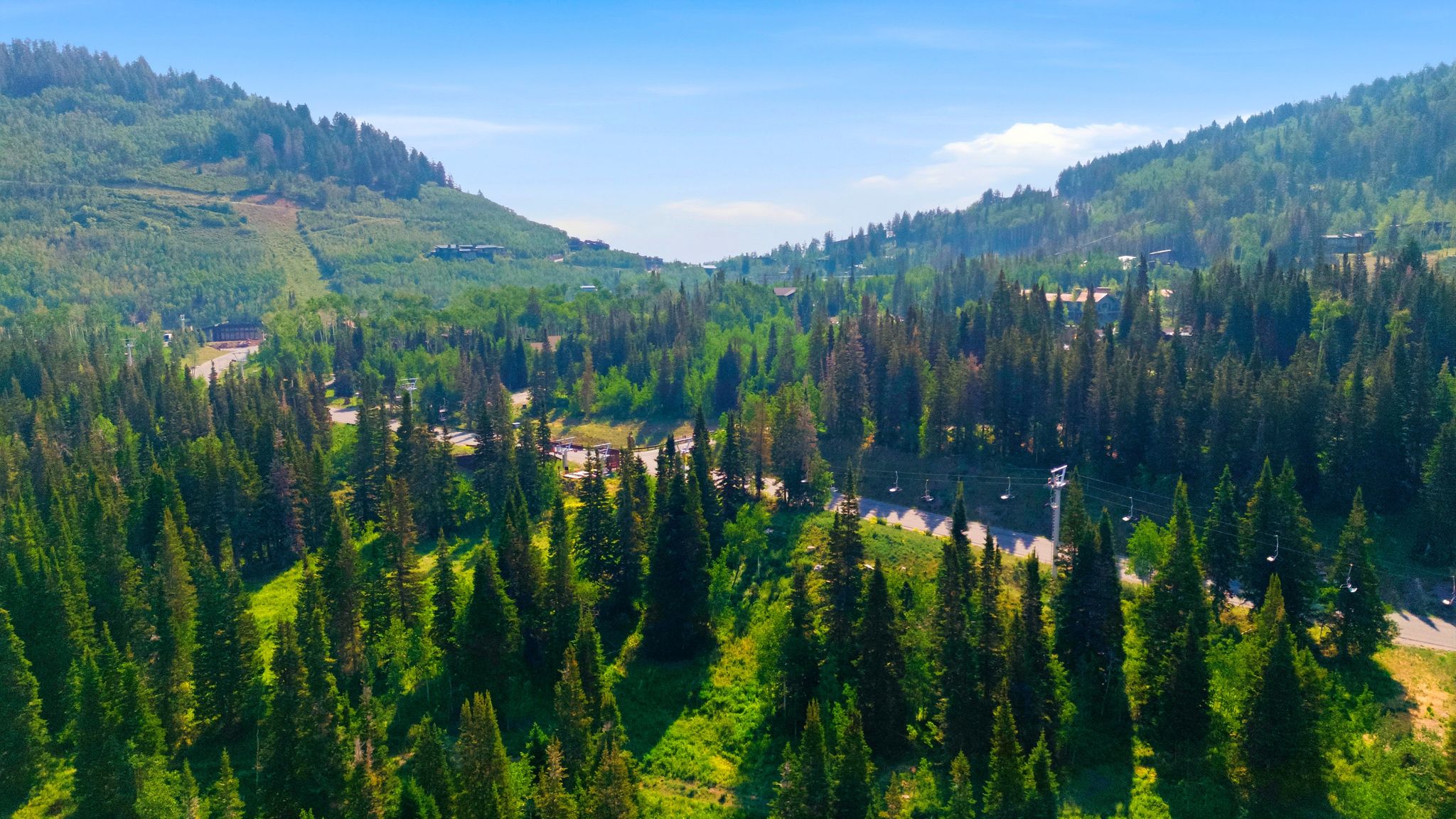 Mountainous terrain with dense evergreen forests, natural clearings, and distant structures