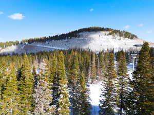 Water view featuring a mountainous background