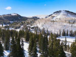View of mountain background