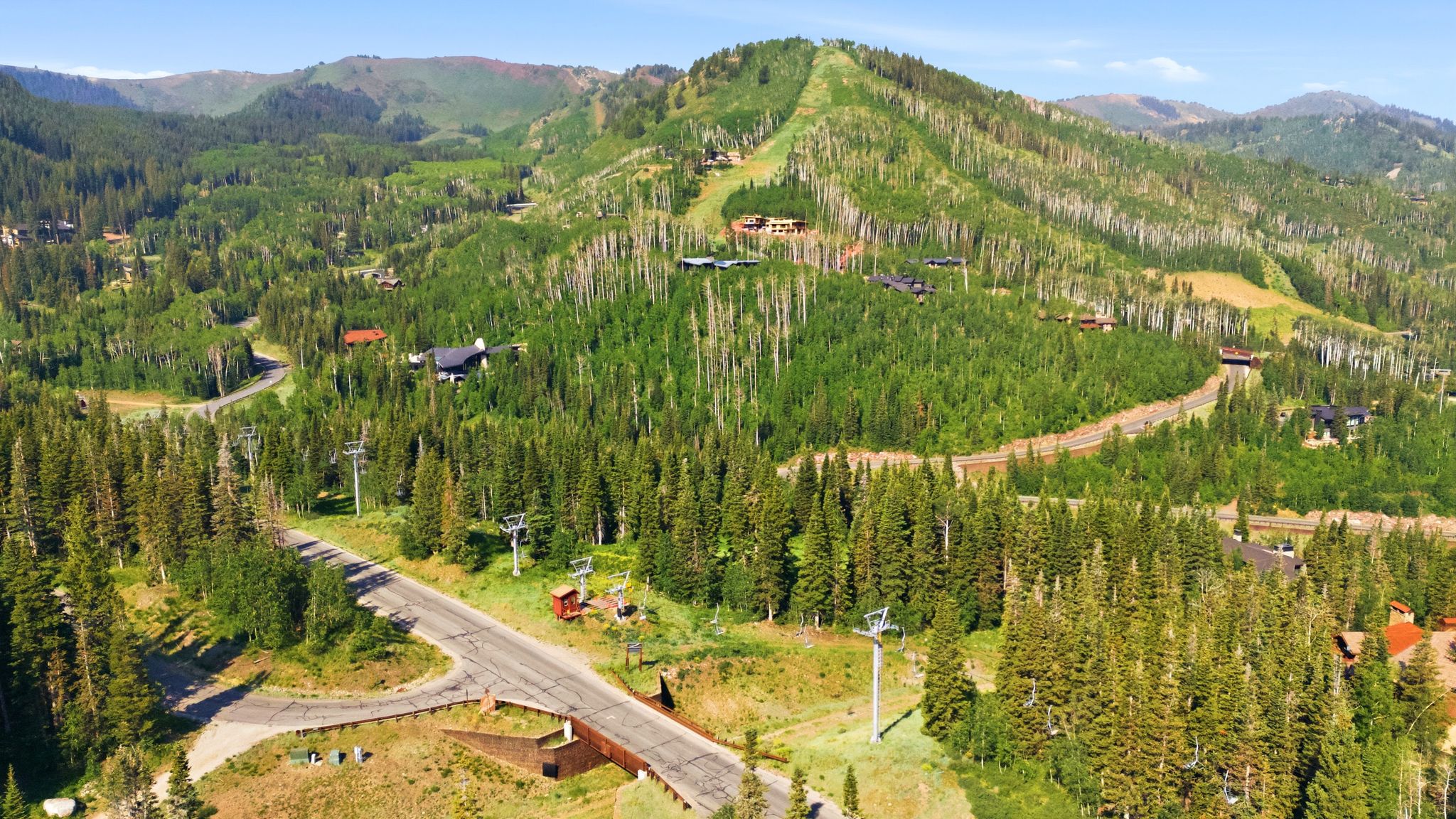 Mountain landscape featuring dense evergreen and deciduous trees, a winding paved road, and ski lift infrastructure