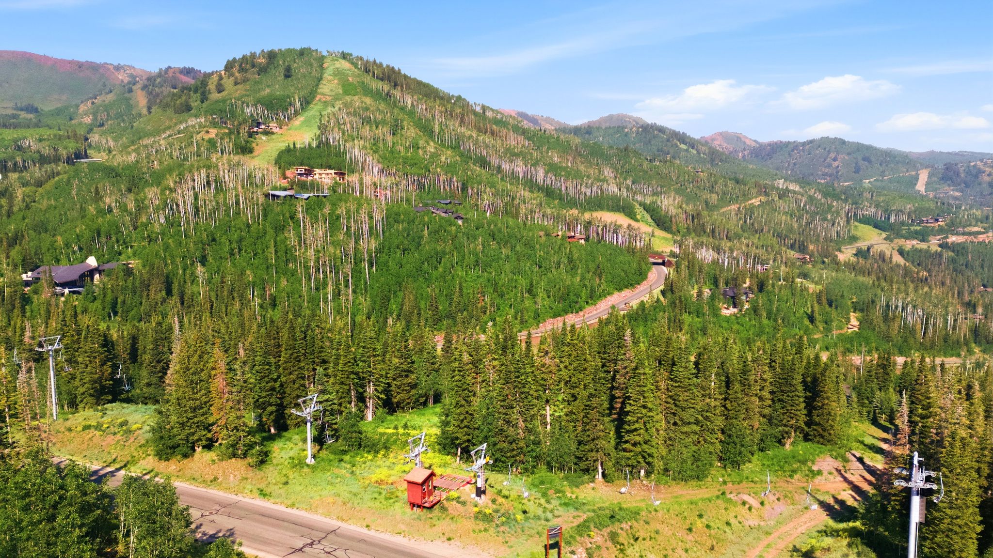 Mountain landscape featuring extensive evergreen forests and deciduous trees
