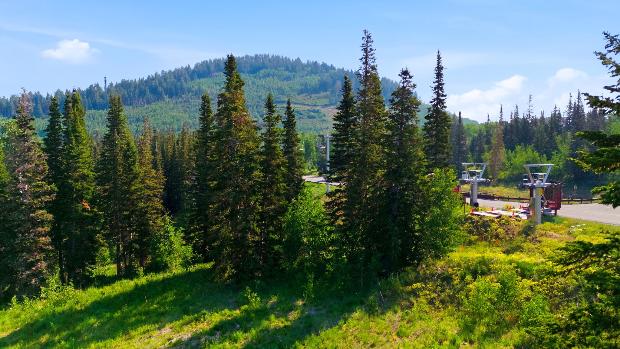 Mountainous terrain with dense evergreen forests and visible ski lift infrastructure