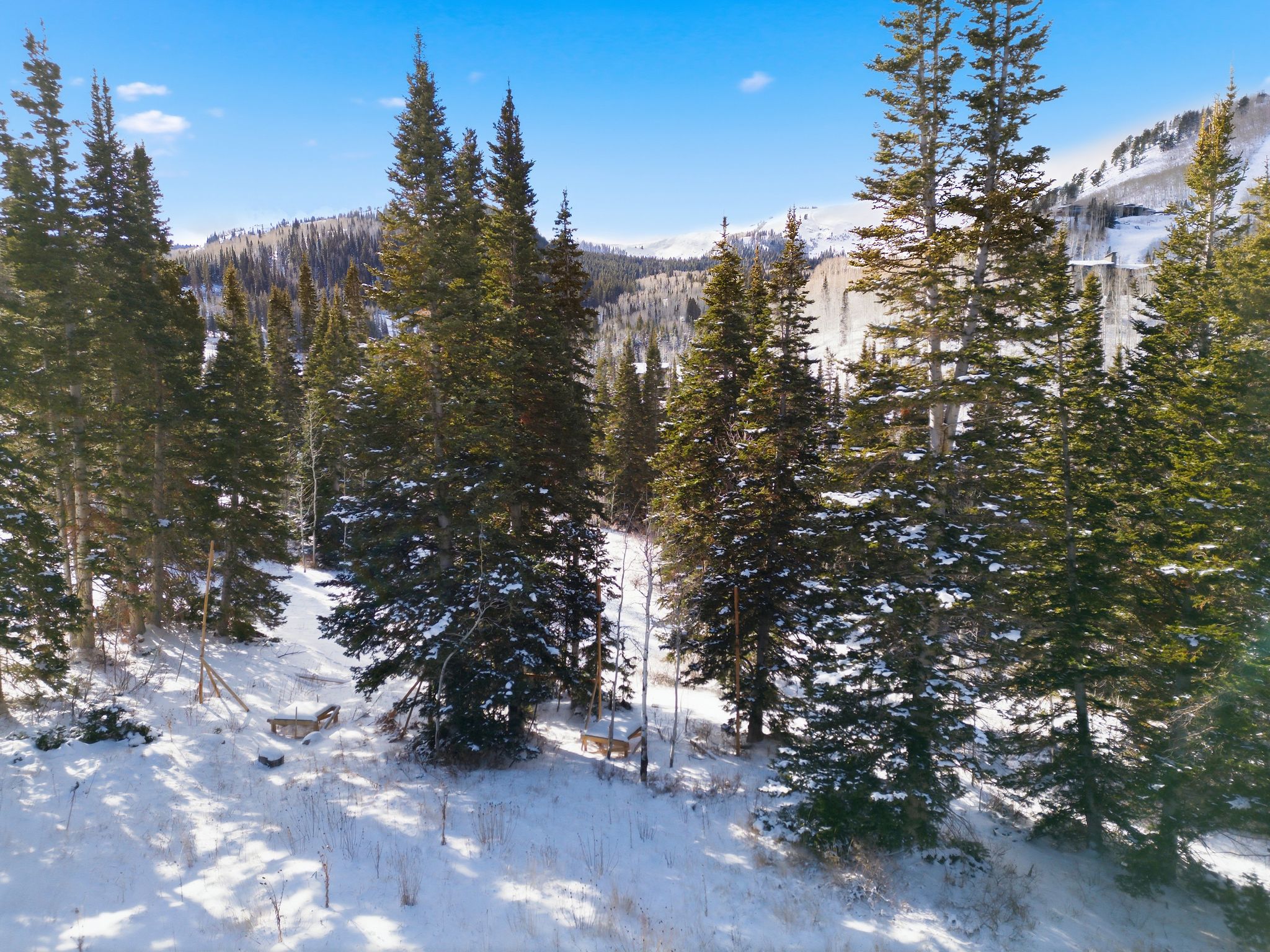 View of mountain backdrop featuring a forest