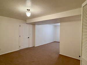 Downstairs spacious family room opening up many opportunities