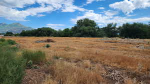 View of undeveloped land with rural landscape and a mountainous background