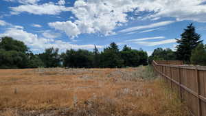 View of yard with a view of rural / pastoral area