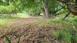 View of undeveloped land