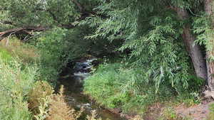 View of undeveloped land