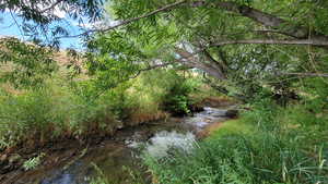 View of local wilderness with a large body of water
