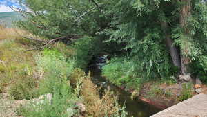 View of undeveloped land