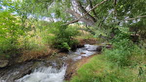 View of yard with a water view