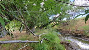 View of nature with a nearby body of water