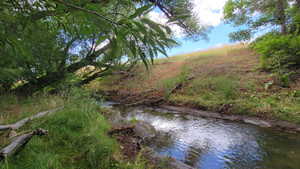 View of undeveloped land featuring a nearby body of water
