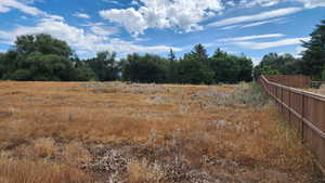 View of local wilderness with rural landscape