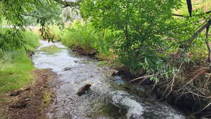 View of yard with a water view