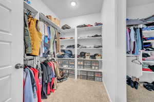 Walk in closet featuring light carpet