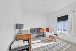 Bedroom with a nursery area and carpet