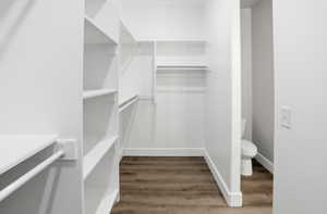 Walk in closet with light wood finished floors