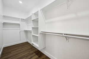 Walk in closet featuring dark wood-type flooring