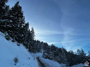 View of mountain background