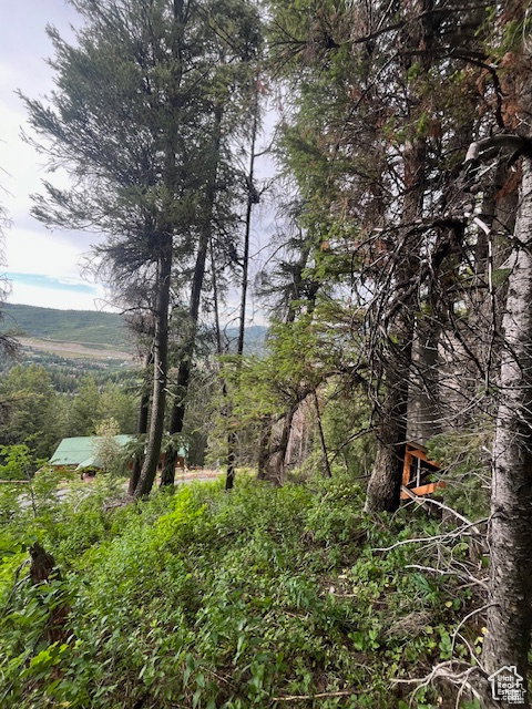 View of undeveloped land