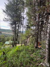 View of undeveloped land